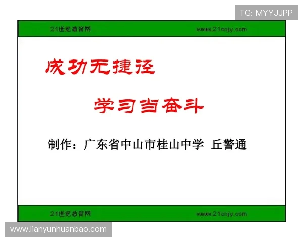滑板新手必看：团队协作技巧与入门指南全解析